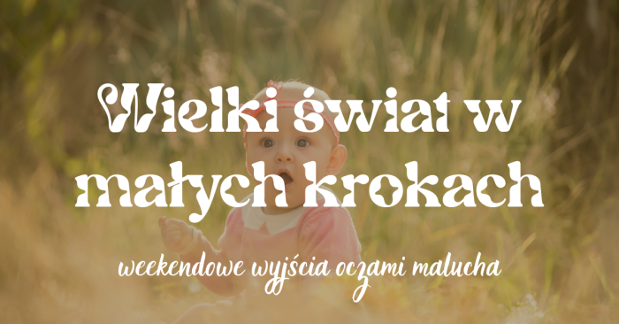 Miniaturka artykułu Wielki świat w małych krokach – weekendowe wyjścia oczami malucha